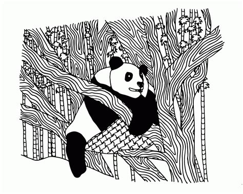 panda coloring pages  adults coloring home