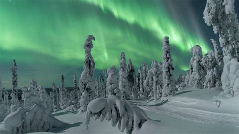 places   northern lights  lapland visit finnish lapland