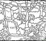 Rainforest Jungle Drawing Coloring Pages Kids Layers Species Printable Endangered Getcolorings Color Amazon Drawings Paintingvalley Print Getdrawings Colorings sketch template