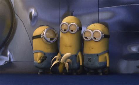 banana minions find and share on giphy