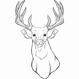 Pages Coloring Realistic Reindeer Getcolorings Deer Printable sketch template