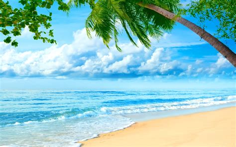 banco de imágenes gratis 30 fotos de playas tropicales con agua