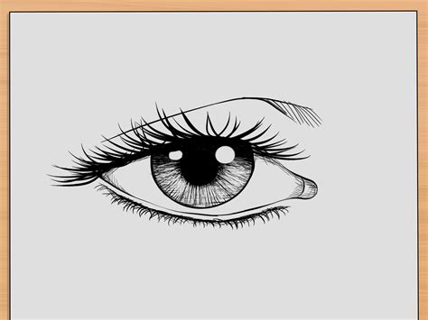 draw realistic human eyes  steps  pictures