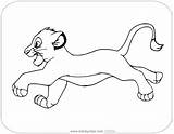Coloring Lion Simba King Pages Running Disneyclips sketch template