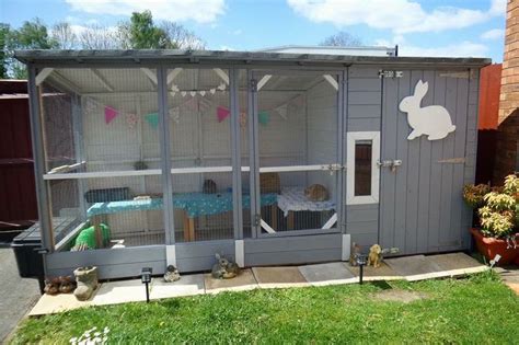the 25 best large rabbit run ideas on pinterest cages for rabbits rabbit hutches uk and