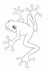 Frog Coloring Pages Tree Choose Board sketch template