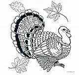 Turkey Coloring Head Printable Getcolorings Getdrawings sketch template