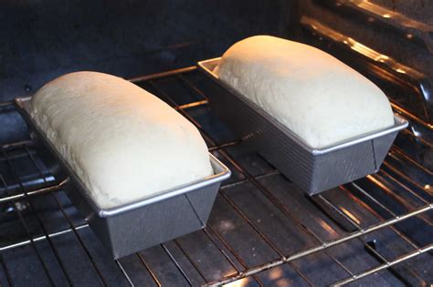 homemade bread recipe tips