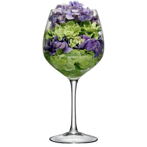 Lsa Midi Wine Glass 134oz 3 8ltr Giant Glassware