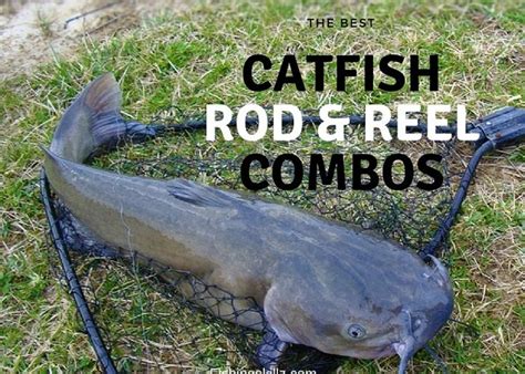 catfish rod  reel combo   reviews  buyers guide fishing skillz