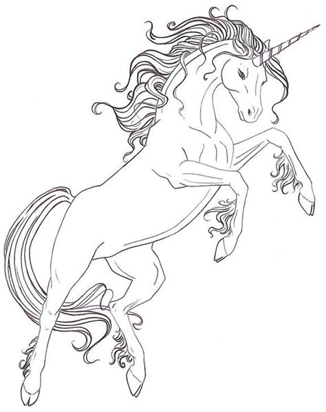pin  coloring pages   kids