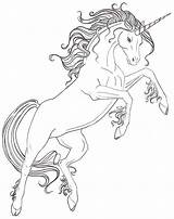 Horse Unicornios Alicorn Einhorn Colouring Winged Unicornio Ec0 Wings Regenbogen Zeichnen Malvorlagen Bastelanleitungen Pferd Drucken Schablonen Colorear24 Malvorlage Colring sketch template