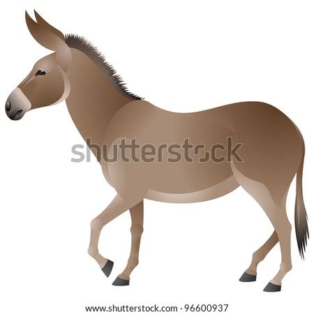 donkey color vector image stock vector  shutterstock