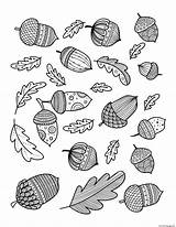 Coloring Acorn Leaf Doodle Autumn Adults Fall Pages Printable Oak Print Book sketch template