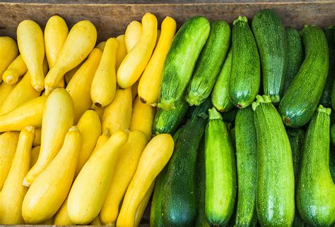 freshpoint freshpoint produce  summer squash zucchini yellow squash