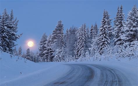 night snow wallpaper background  images