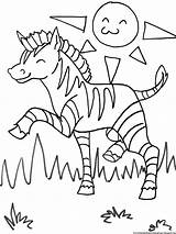 Coloring Zebra Pages Zoo Kids Printable sketch template