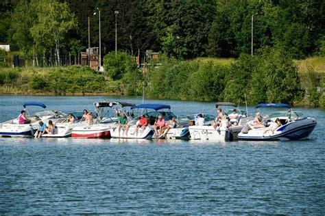 beringen zalig dobberen op het water internetgazet