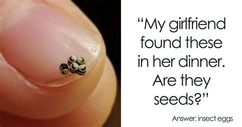 30 Times People Found Weird Things And The Internet Helped Recognize