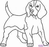 Beagle Coloring Pages Drawings Dog Dogs Puppy Animal sketch template