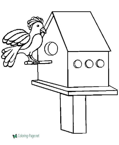 bird house bird coloring pages