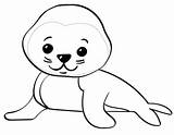 Seal Coloring Baby Cute Cartoon Pages Seals Animals Printable Drawing sketch template