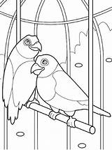 Papegaai Papagei Papegaaien Malvorlage Papageien Kleurplaten Stimmen Ausmalbild sketch template