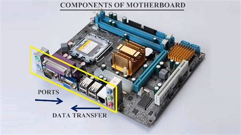 components  motherboard   function