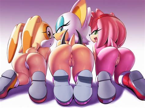 rouge the bat amy rose and cream the rabbit sonic the