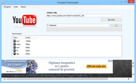 youtube downloader