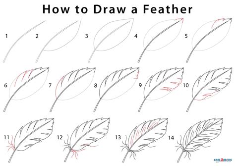 How To Draw A Realistic Feather Step By Step