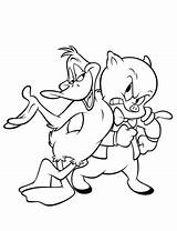 Porky Pato Daffy Cerdo Looney Tunes Cerdito Melodie Kaczor Duffy Colorir Prosiak Zwariowane Gratis Drukuj sketch template