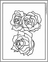 Coloring Pages Roses Three Rose Printable Pdf Kids Printables Colorwithfuzzy sketch template