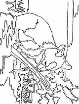 Ausmalbilder Malvorlagen Malvorlagen1001 Animaatjes sketch template