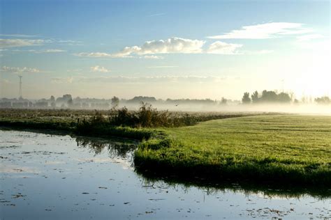 gratis afbeeldingen landschap zee boom water natuur gras buitenshuis horizon moeras