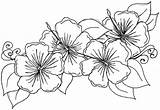 Coloring Pages Hibiscus Flower Flowers Kids Printable Drawing Hawaiian Sheets Choose Board sketch template