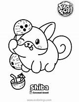Shiba Pops Pikmi Coloring Pages Xcolorings 1332px 1024px 101k Resolution Info Type  Size sketch template
