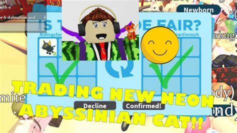 trading   neon abyssinian cat  adopt  youtube