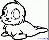 Cute Seal Baby Animal Drawing Coloring Animals Drawings Pages Sea Draw Pup Clipart Lion Dragoart Sketches Harp Step Elephant Cartoon sketch template