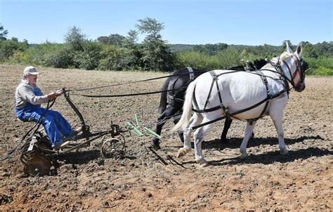 rustic ways celebrated  antique tractor  plow day cleburne county annistonstarcom