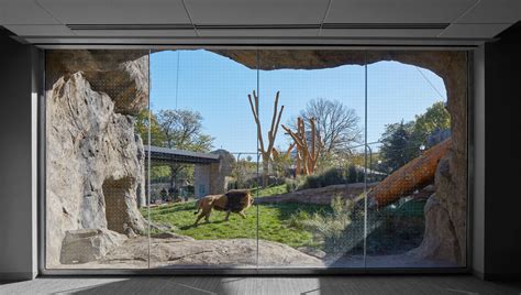 goettsch partners designs  home  lions  lincoln park zoo