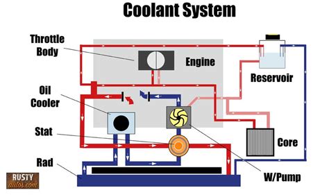transmission fluid   coolant heres  rustyautoscom