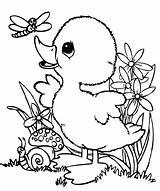 Coloring Duck Pages Baby Animal Easter Kids Printable Spring Line Book Ducks Cute Color Easy Zoo Animals Drawings Getcolorings Dragonfly sketch template