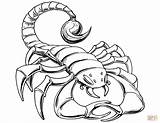 Scorpion Coloring Pages Prehistoric Drawing Scorpions Printable Cartoon Color Tail Simple Getdrawings Cool Print Inspired Categories sketch template