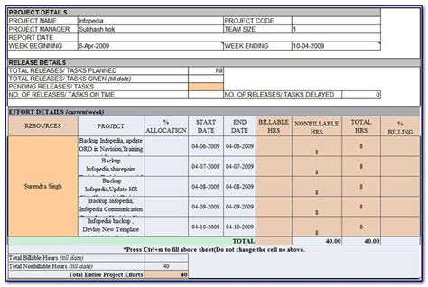 weekly project report template excel