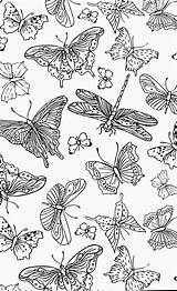Kleurplaten Dragonflies Vlinders Volwassenen sketch template