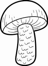 Mushrooms Boletus sketch template