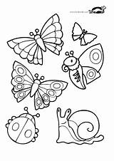 Krokotak Print Coloring Printables Kids Pages Template Girls Critters Garden Pdf Gemerkt Von sketch template