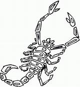 Scorpion Scorpions Scorpione Escorpi Scorpioni sketch template