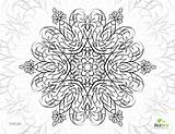 Coloring Pages Relief Stress Flower Printable Adults Getcolorings Delicate Color sketch template